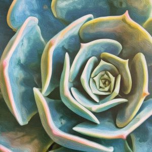 Elegant Succulent art by art studio juggling daisies