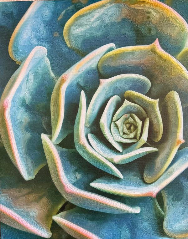 Elegant Succulent art by art studio juggling daisies