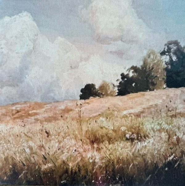 Dusty Landscape juggling daisies art studio